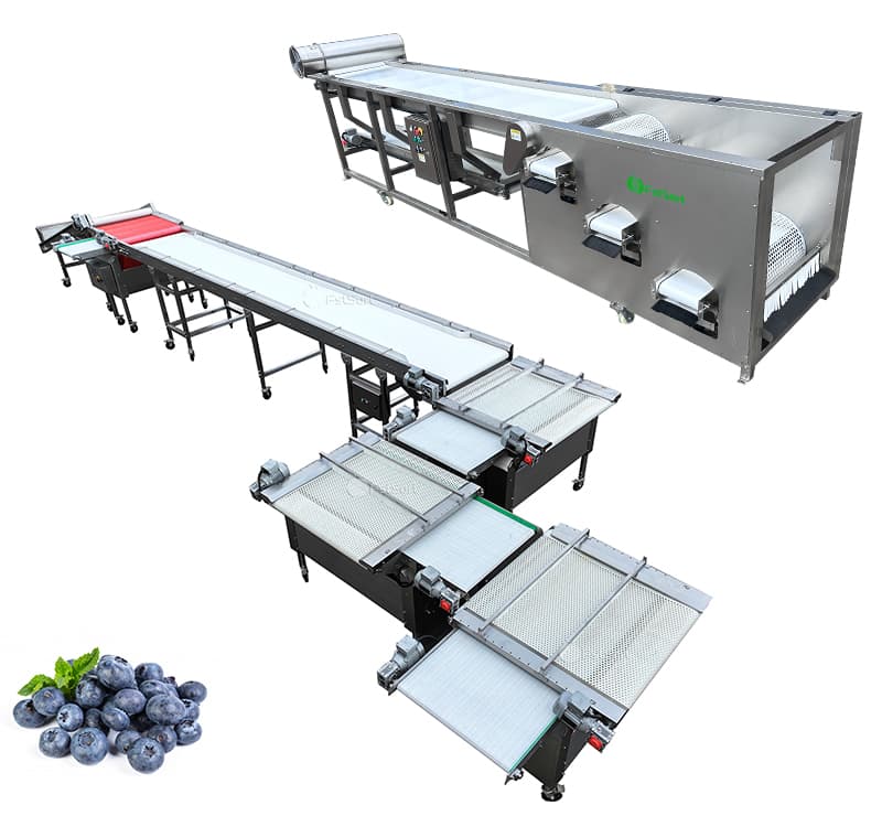images/1742191301068blueberry grading machine.jpg